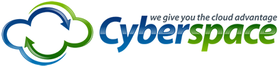 Cyberspace Networking Systems Pvt Ltd
